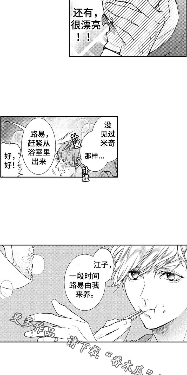 三兄弟情义漫画,第12章：万幸3图