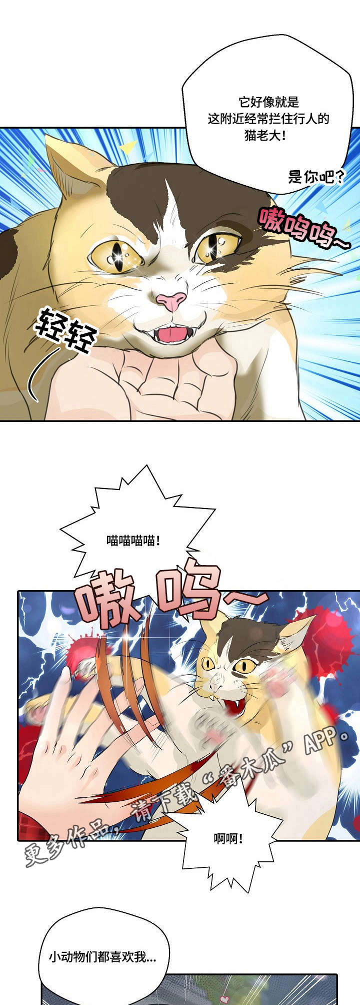 最佳助手漫画,第25章：猫老大5图