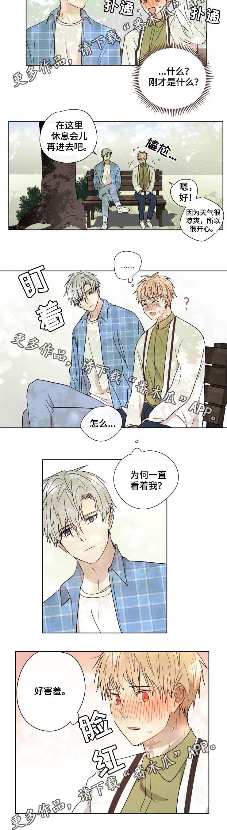 我的解药漫画,第33章：答案4图