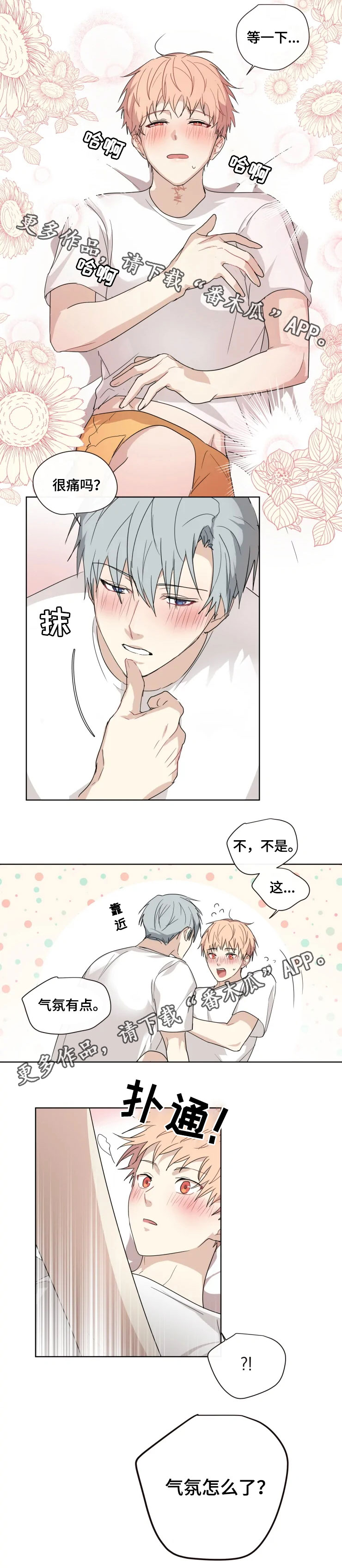 我的解药漫画,第31章：表白2图