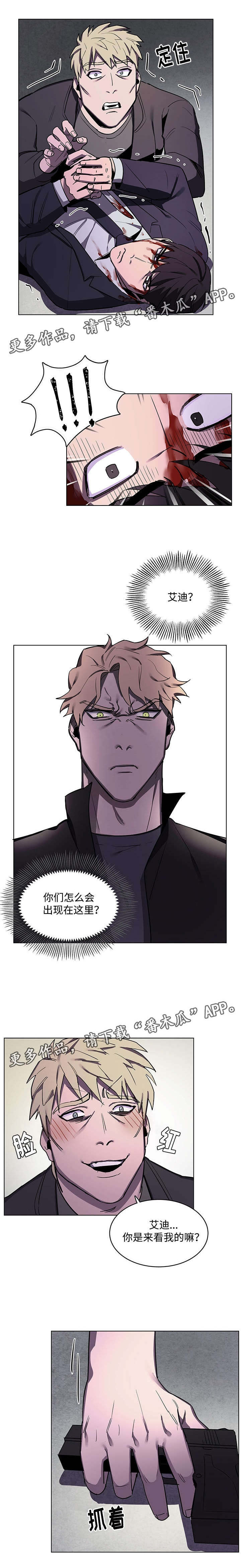 随行护卫漫画,第55章：艾迪的到来5图