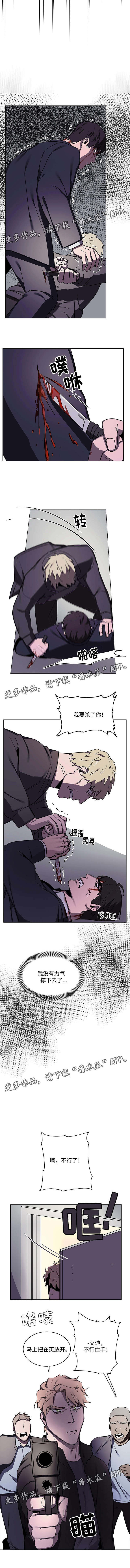 随行护卫漫画,第55章：艾迪的到来4图