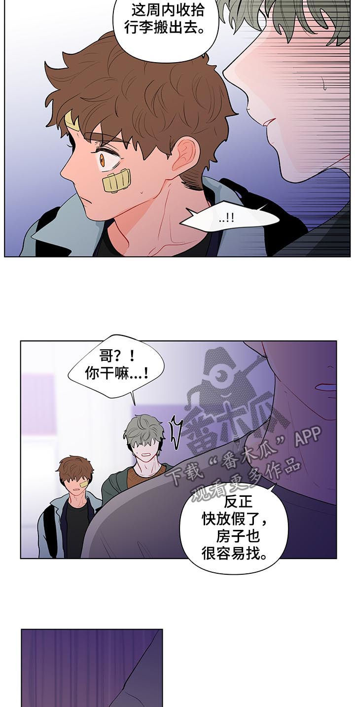 负面信息拒贷原因漫画,第114章：搬出去2图