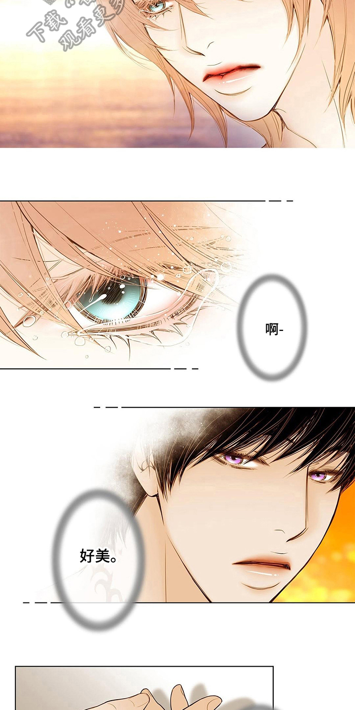 灵魂争夺漫画,第12章：挥之不去1图