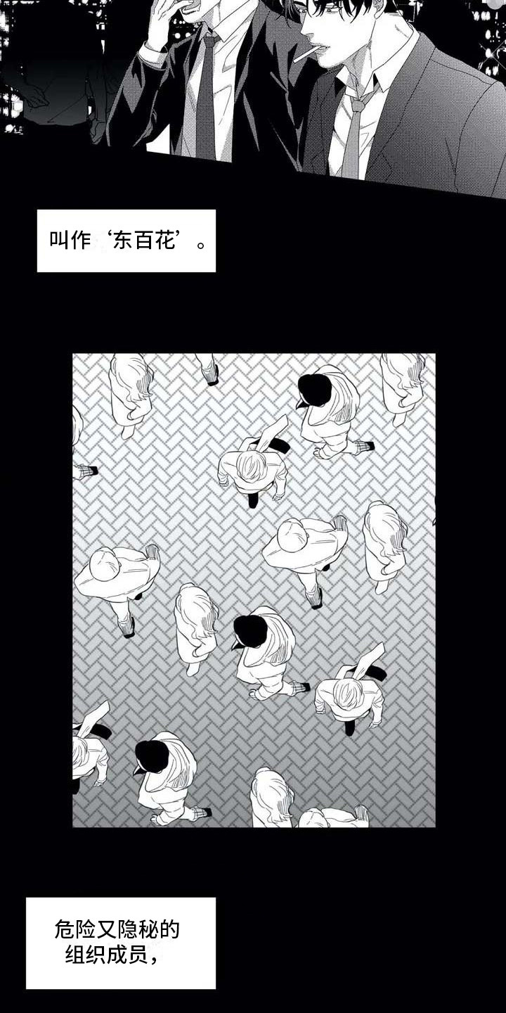 导演你在哪漫画,第2章：隐秘集团1图