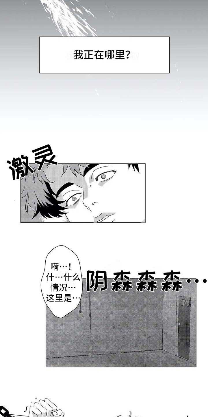 导演你在哪漫画,第19章：绑架4图