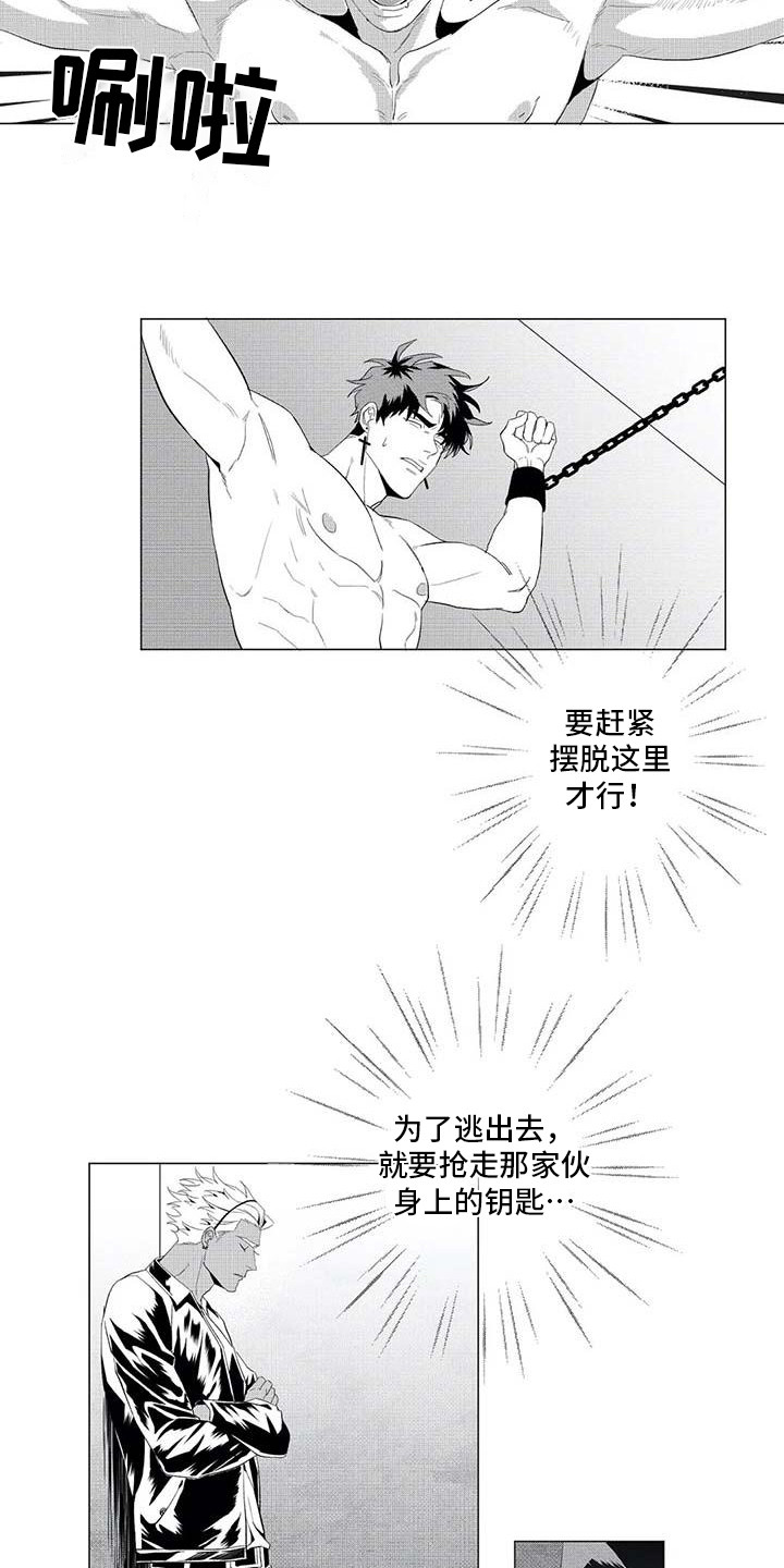 导演你在哪漫画,第21章：消失了3图