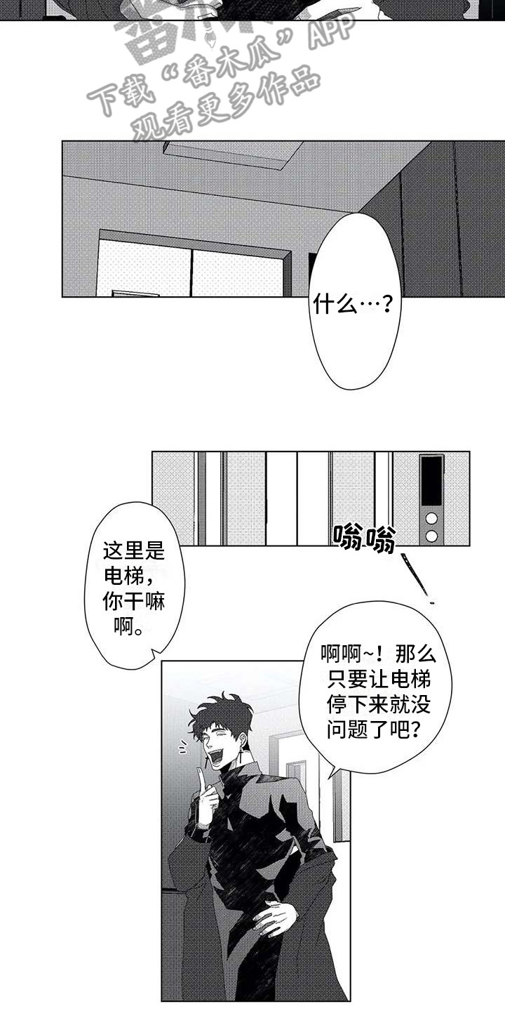 导演你在哪漫画,第11章：停下电梯2图