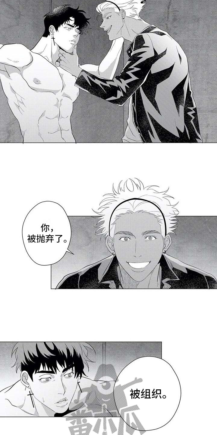 导演你在哪漫画,第19章：绑架2图