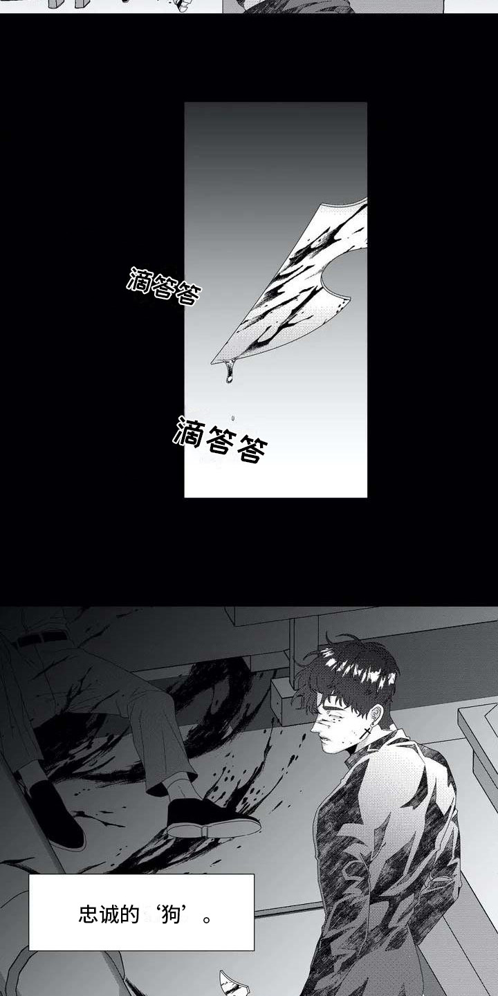 导演你在哪漫画,第1章：忠诚的狗4图