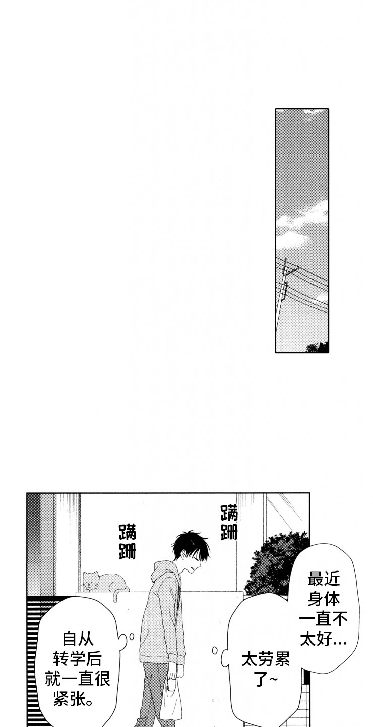 校霸的秘密漫画,第8章：上树2图