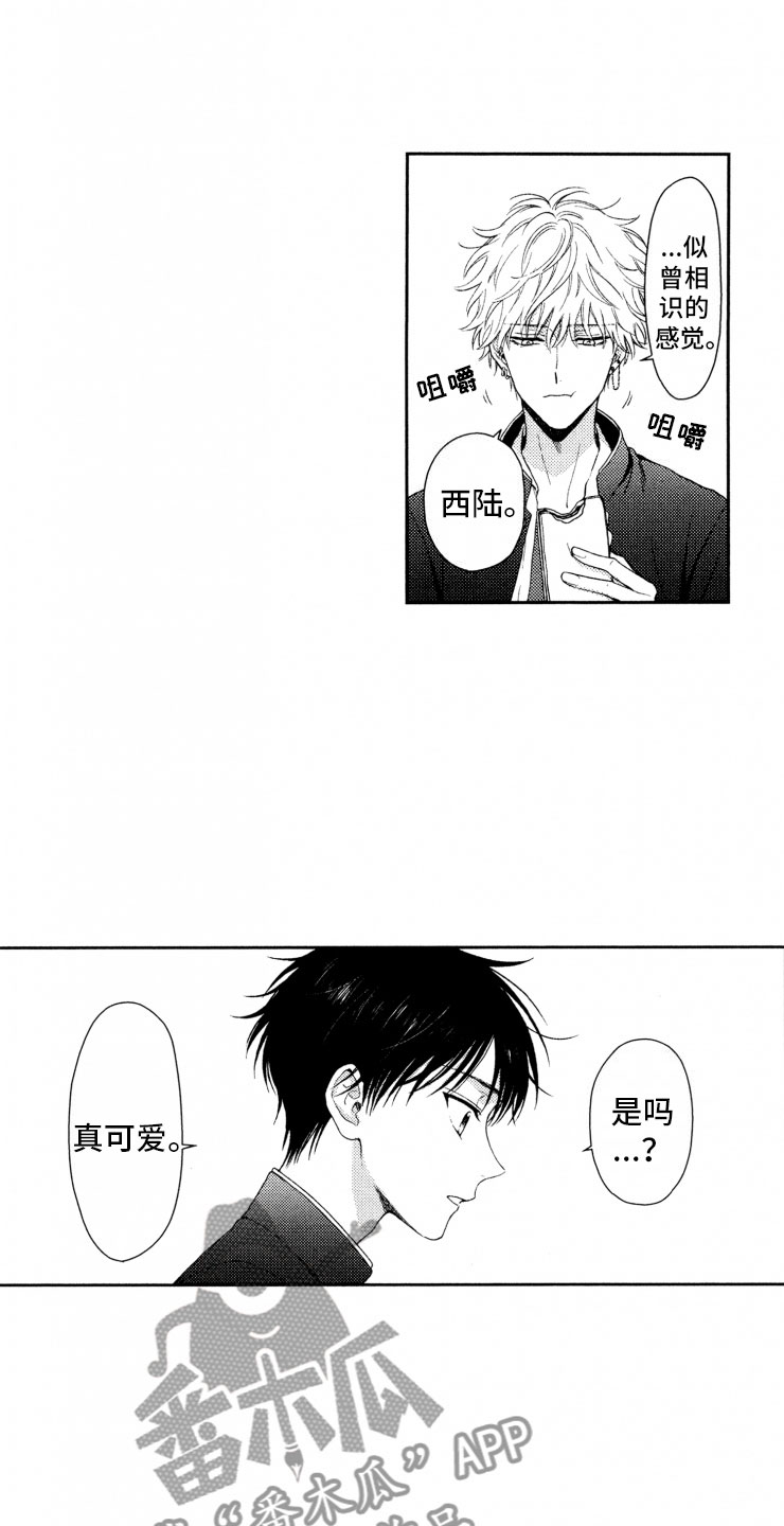 校霸不好惹小说漫画,第18章：解决1图