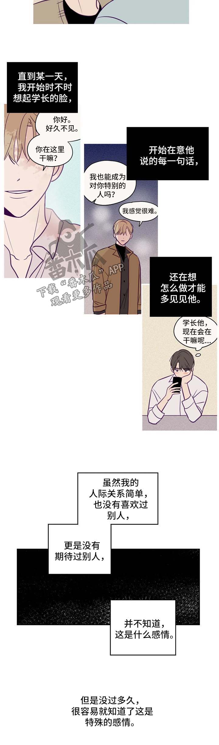 秘密照片漫画,第57章：特殊感情3图