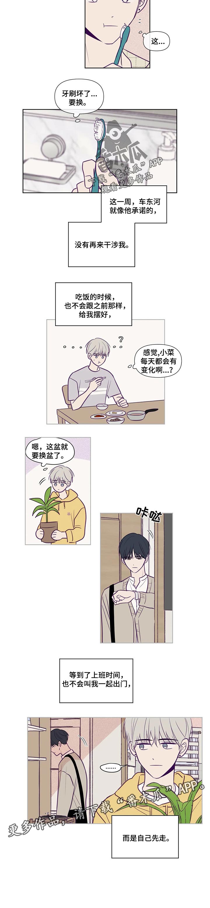 秘密照片漫画,第106章：选择权1图