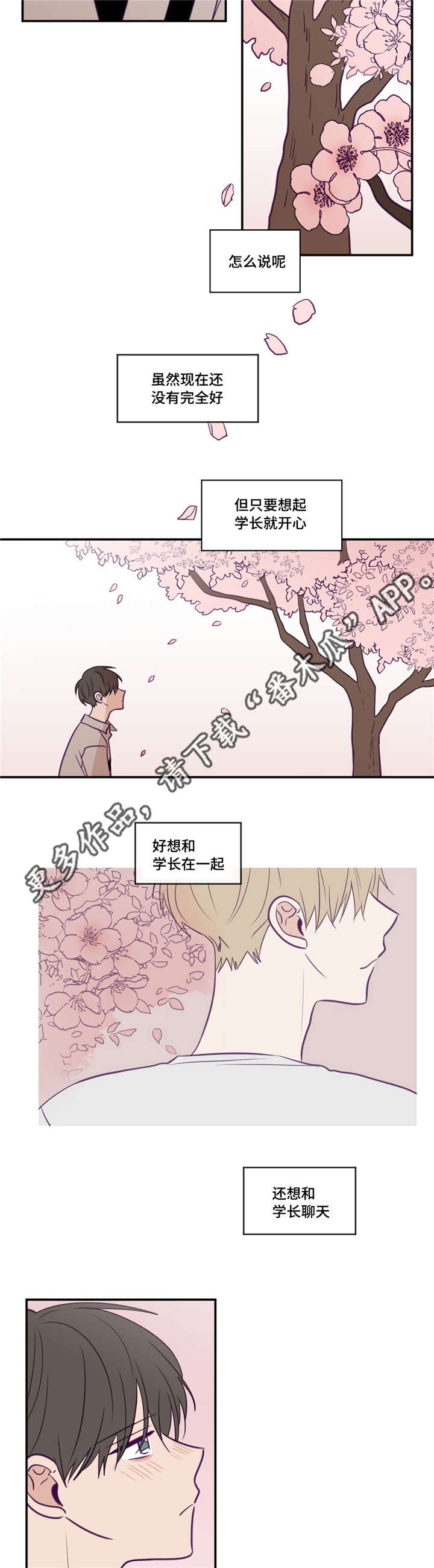 秘密照片漫画,第37章：很有人气2图
