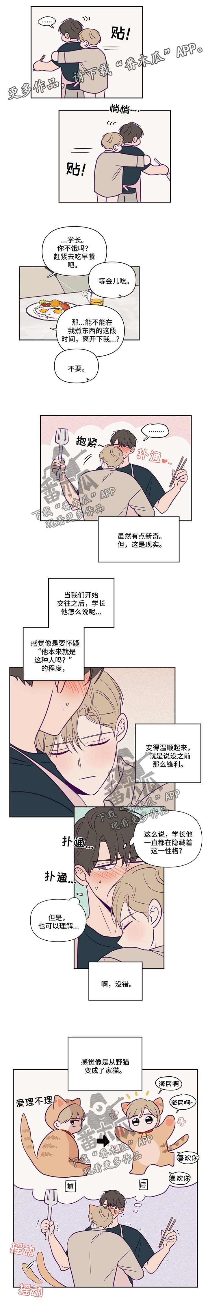 秘密照片漫画,第64章：旅行计划3图