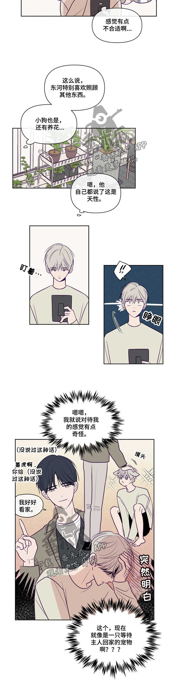 秘密照片漫画,第87章：亲吻3图