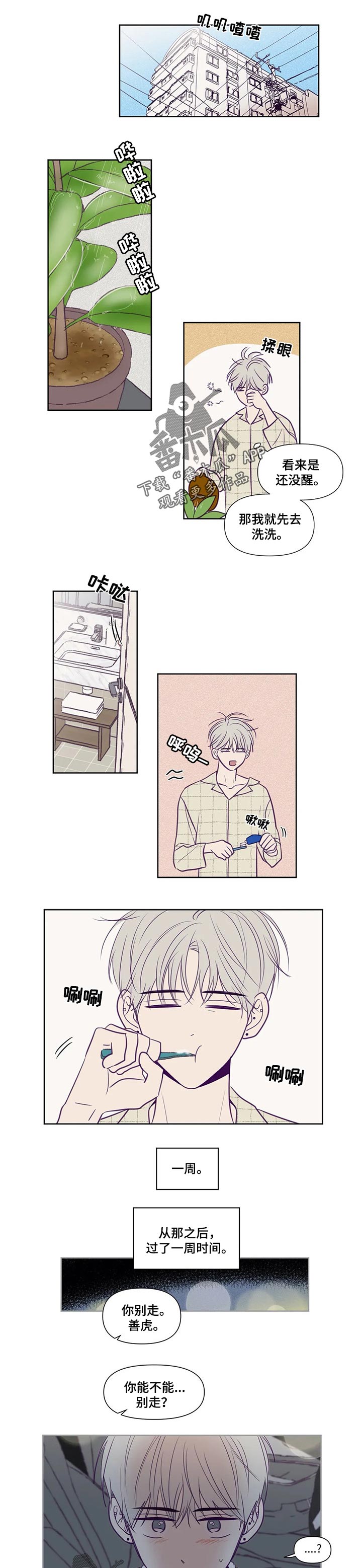 秘密照片漫画,第106章：选择权1图