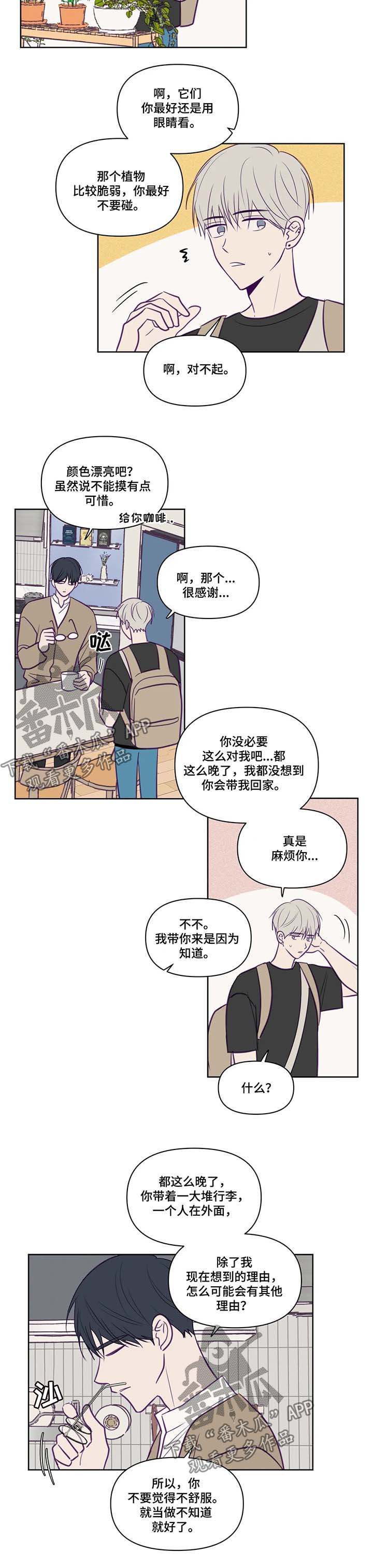 秘密照片漫画,第80章：带回家5图