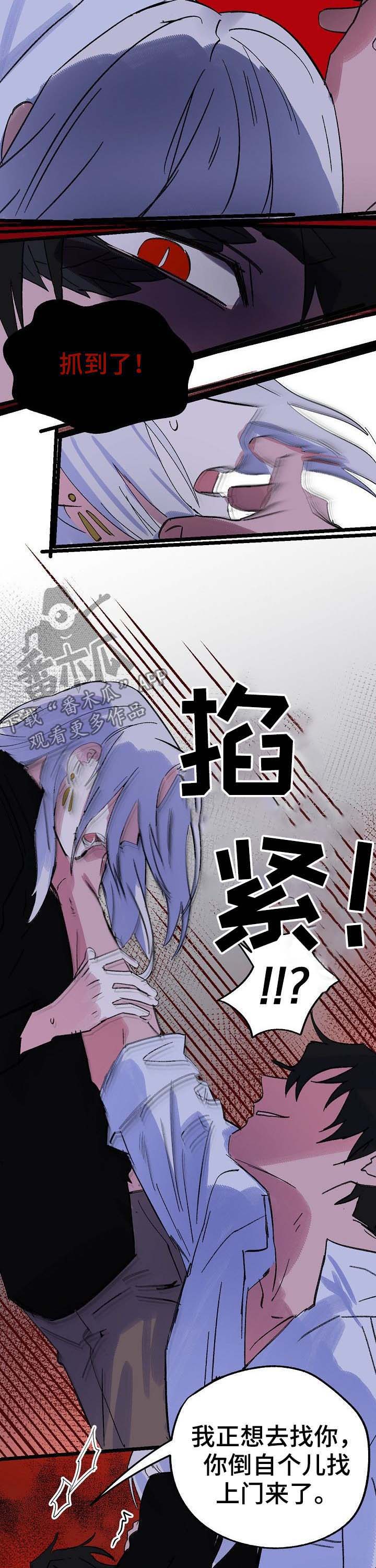 双重记忆漫画,第40章：诅咒5图