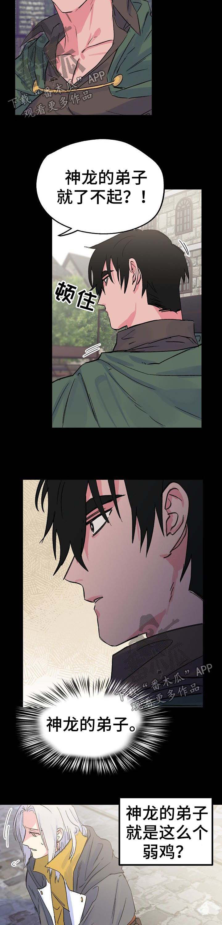 双重记忆漫画,第36章：神龙的弟子4图