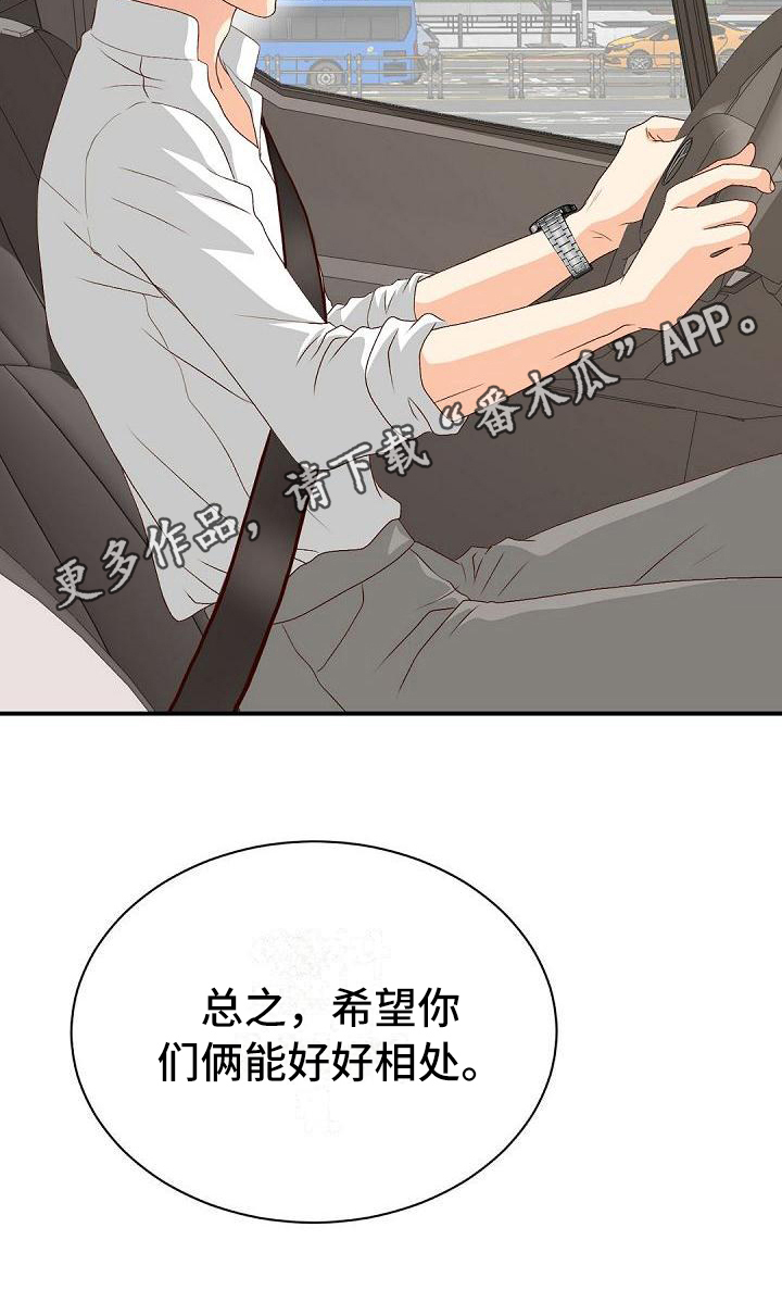 虚实装演漫画,第52章：好好相处4图