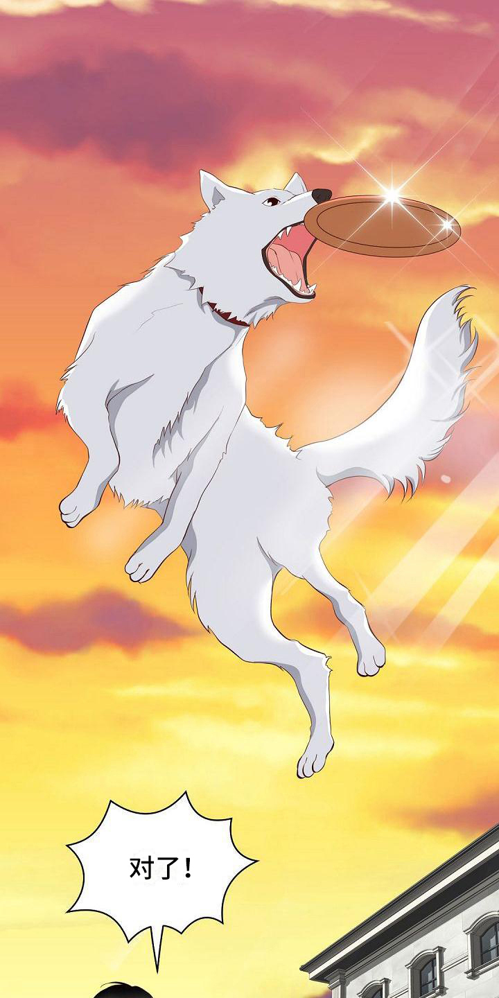 虚实融合设计漫画,第3章：印象4图