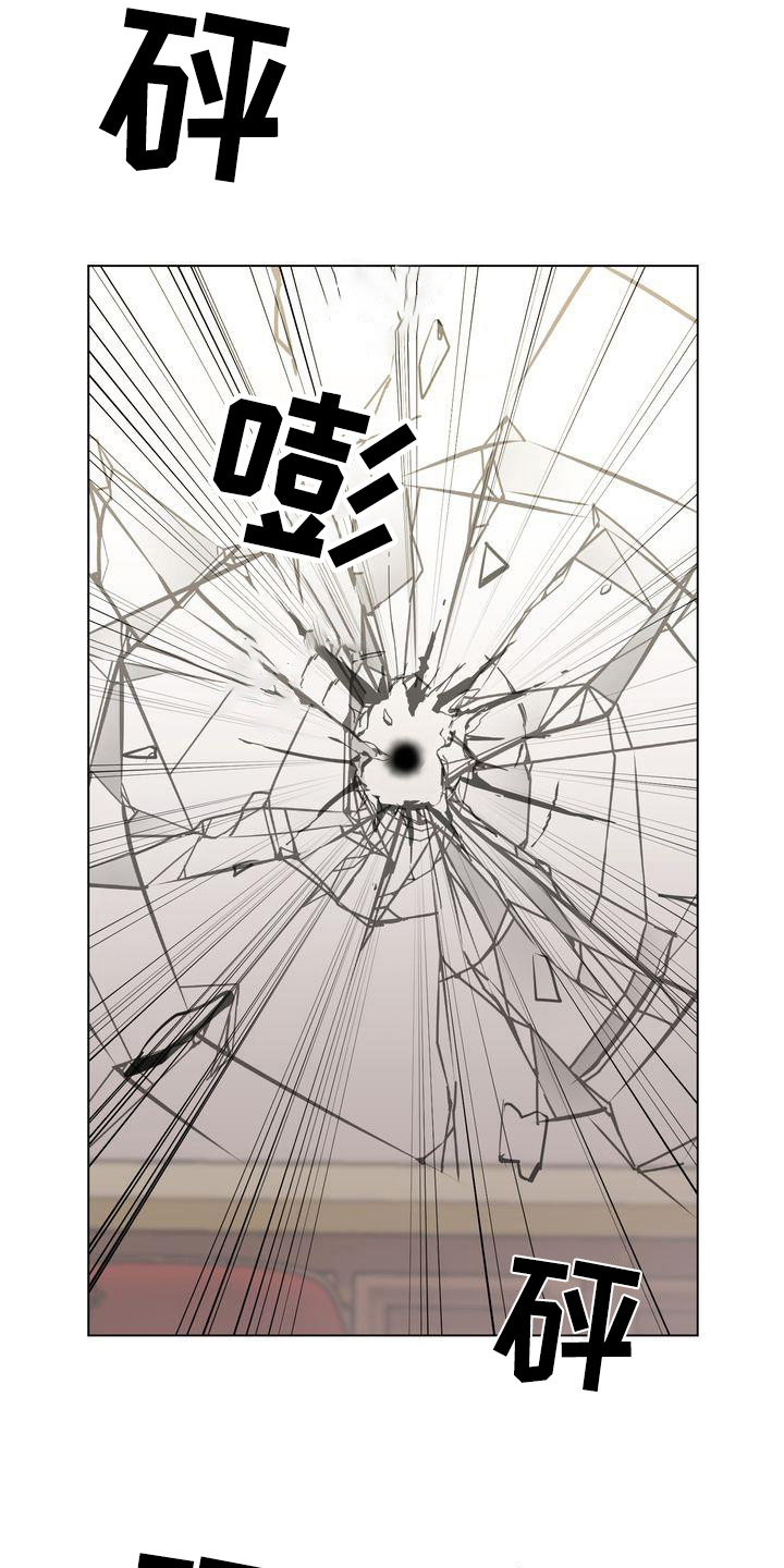 特殊的行动漫画,第6章：枪击4图