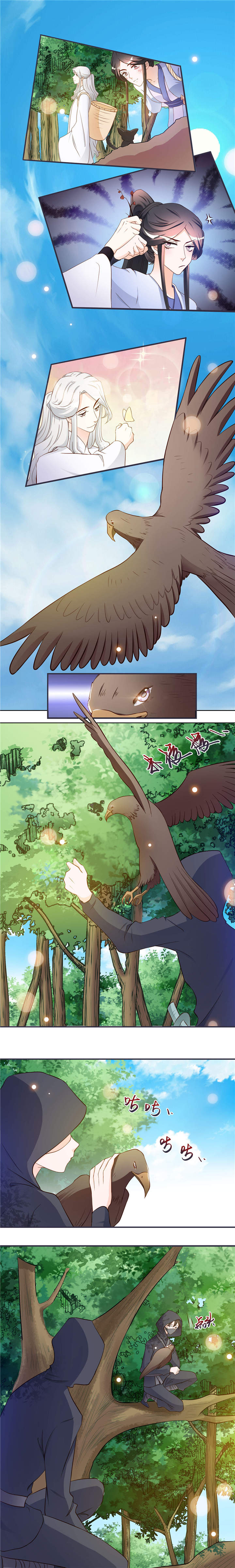 将军的小宠医漫画,第7章：拿命来3图