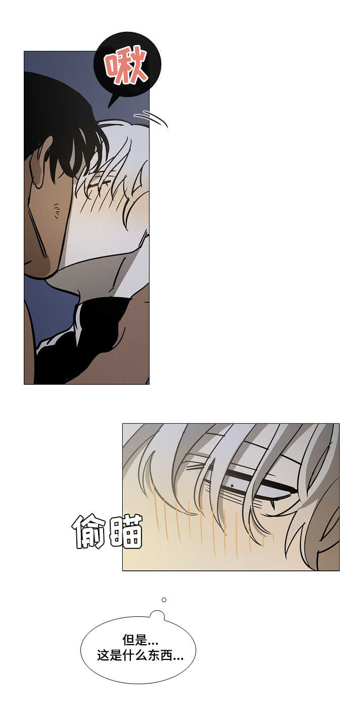 野兽王子漫画,第8章：旅途（完结~请期待番外）1图