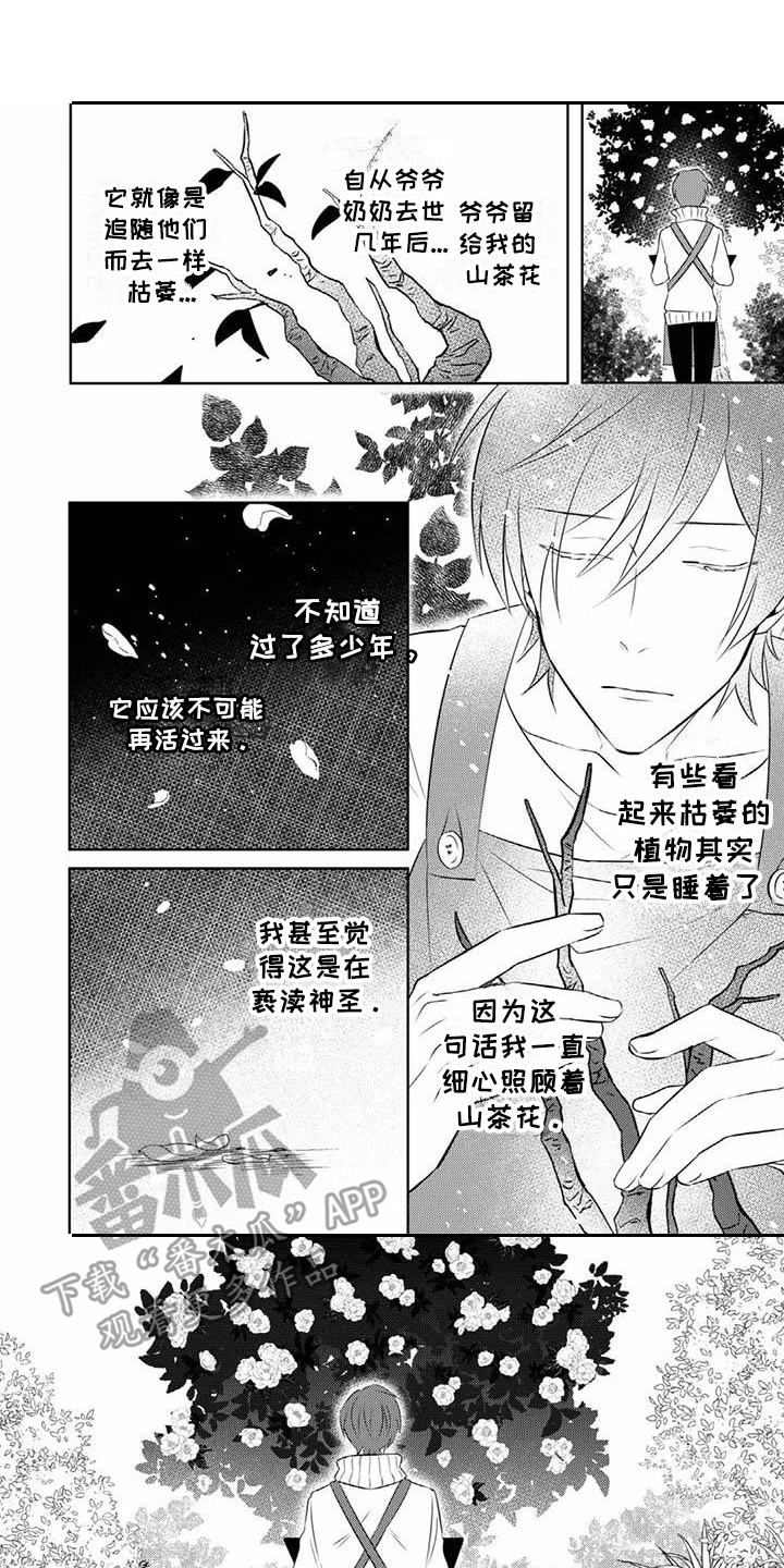 不见当年秦始皇漫画,第15章：期待1图