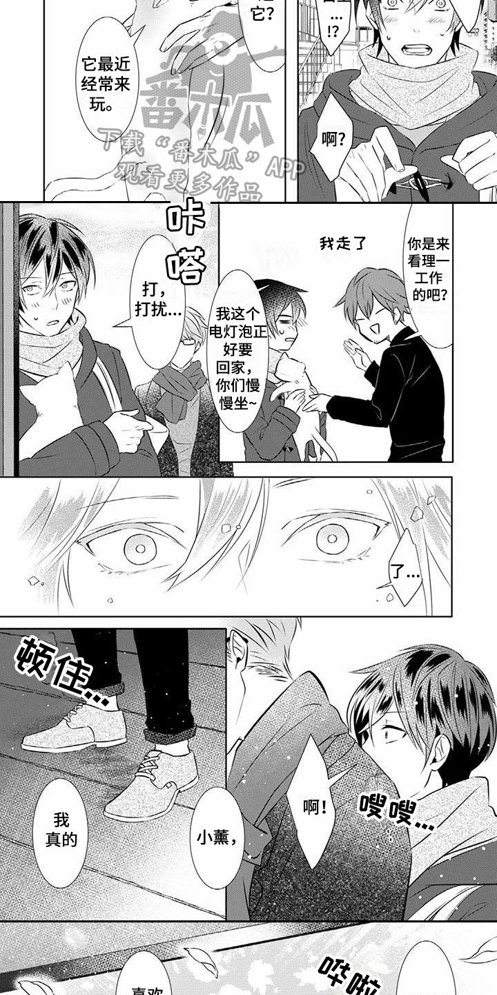 不见凋零漫画,第16章：永远盛开（完结）3图