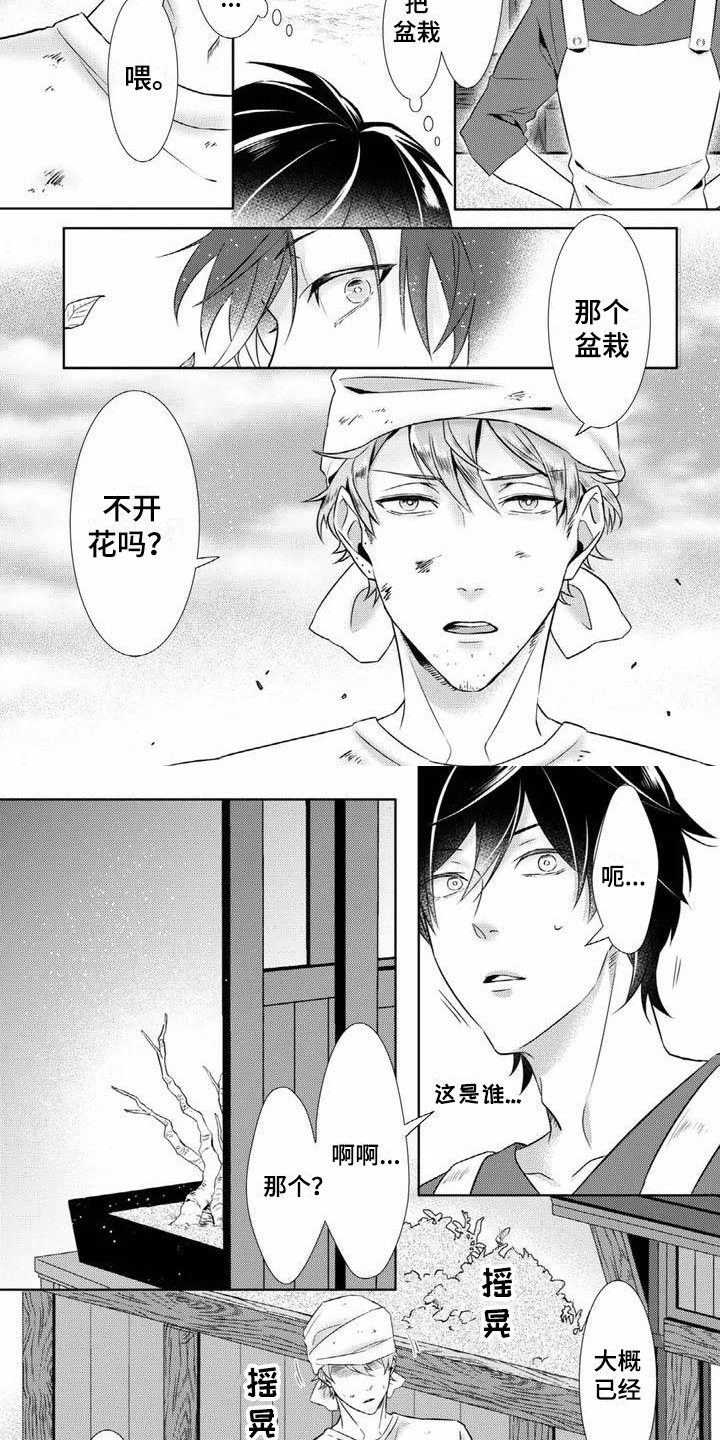 不见凋零漫画,第1章：花店2图