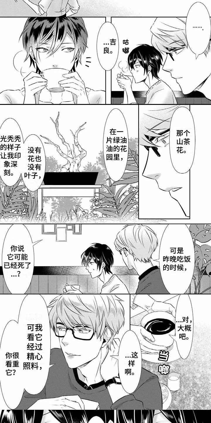 不见凋零漫画,第3章：谢礼3图