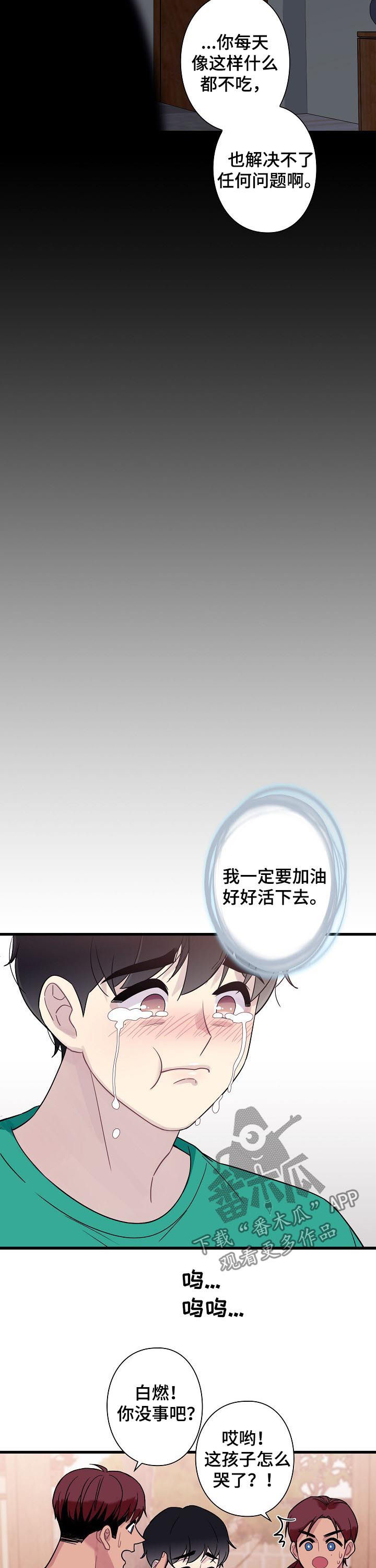 保洁工作总结漫画,第56章：【番外】宠儿4图