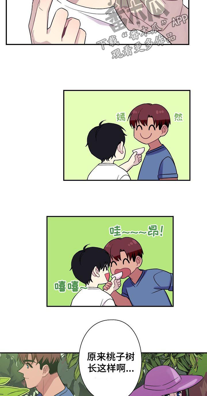 第59章：【番外】摘桃子4