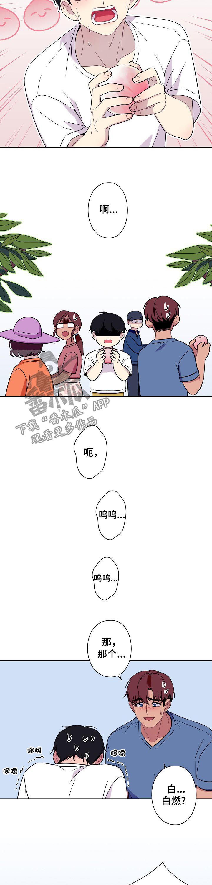 保洁陷阱漫画,第59章：【番外】摘桃子2图