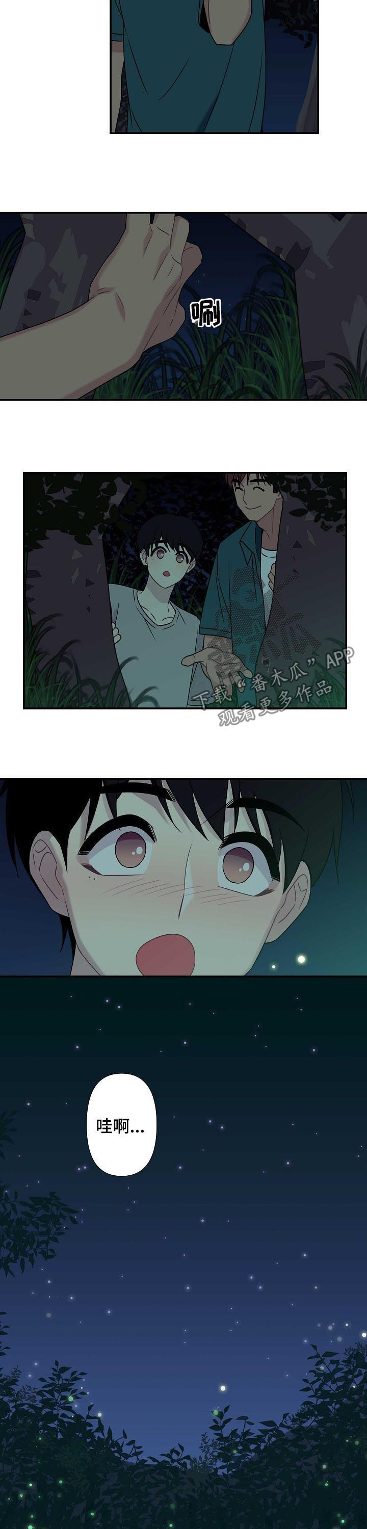 第61章：【番外】萤火虫4