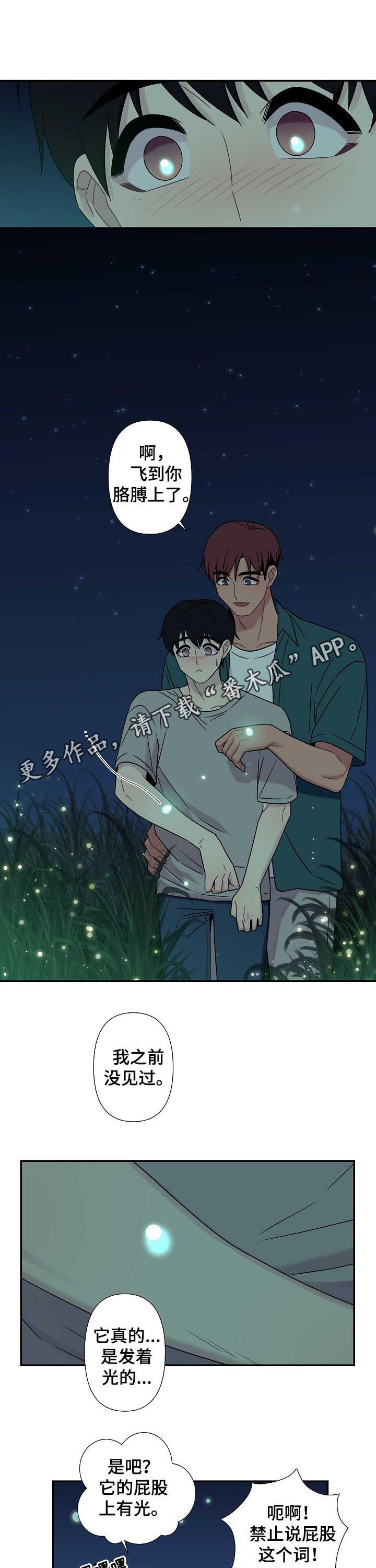 第62章：【番外】返程0