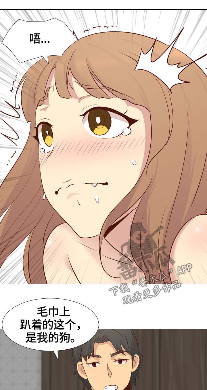 见异思迁的想念漫画,第48章：我的狗2图