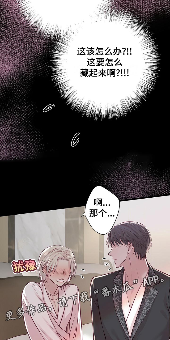 爱豆新星漫画,第36章：教训3图