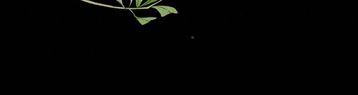 爱豆新星漫画,第42章：无法忘记的经历4图