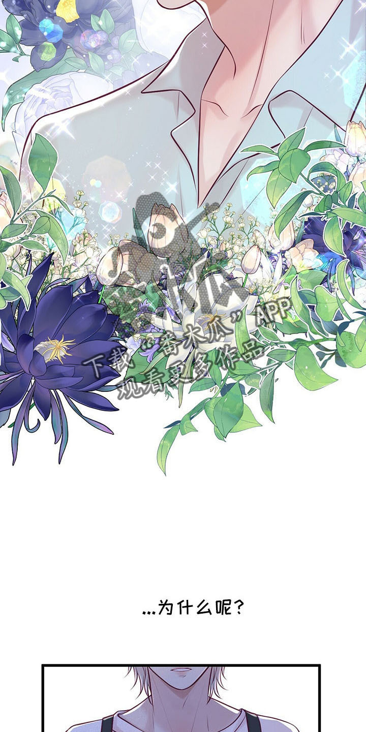 内娱新星爱豆是谁漫画,第48章：假面少女4图