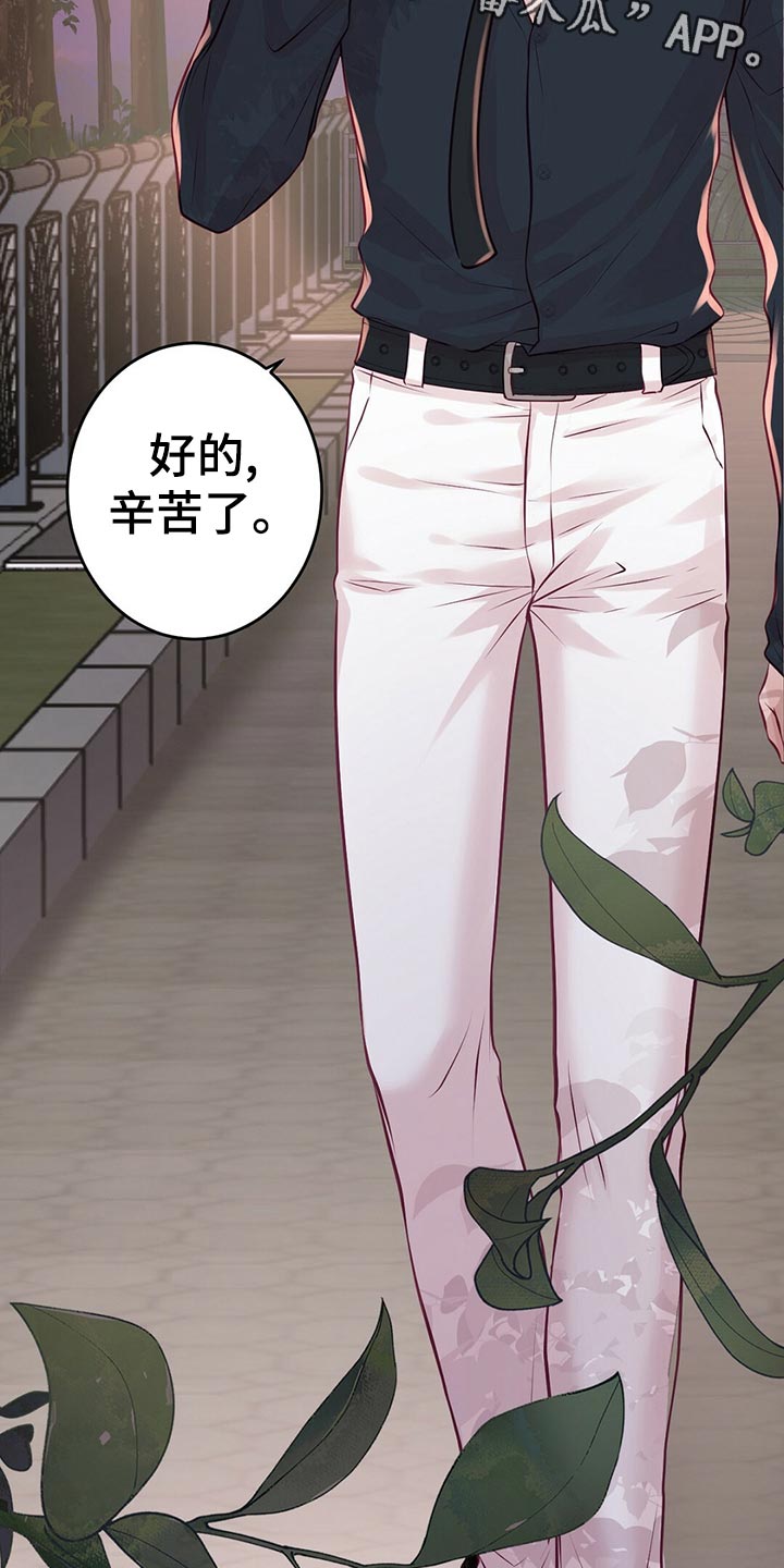 爱豆新星漫画,第30章：拍摄结束3图