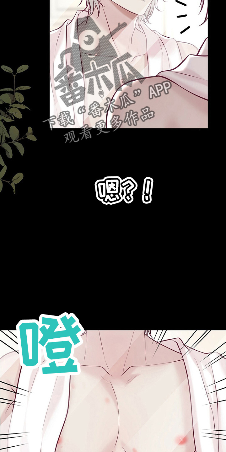 爱豆新星漫画,第43章：对不起3图