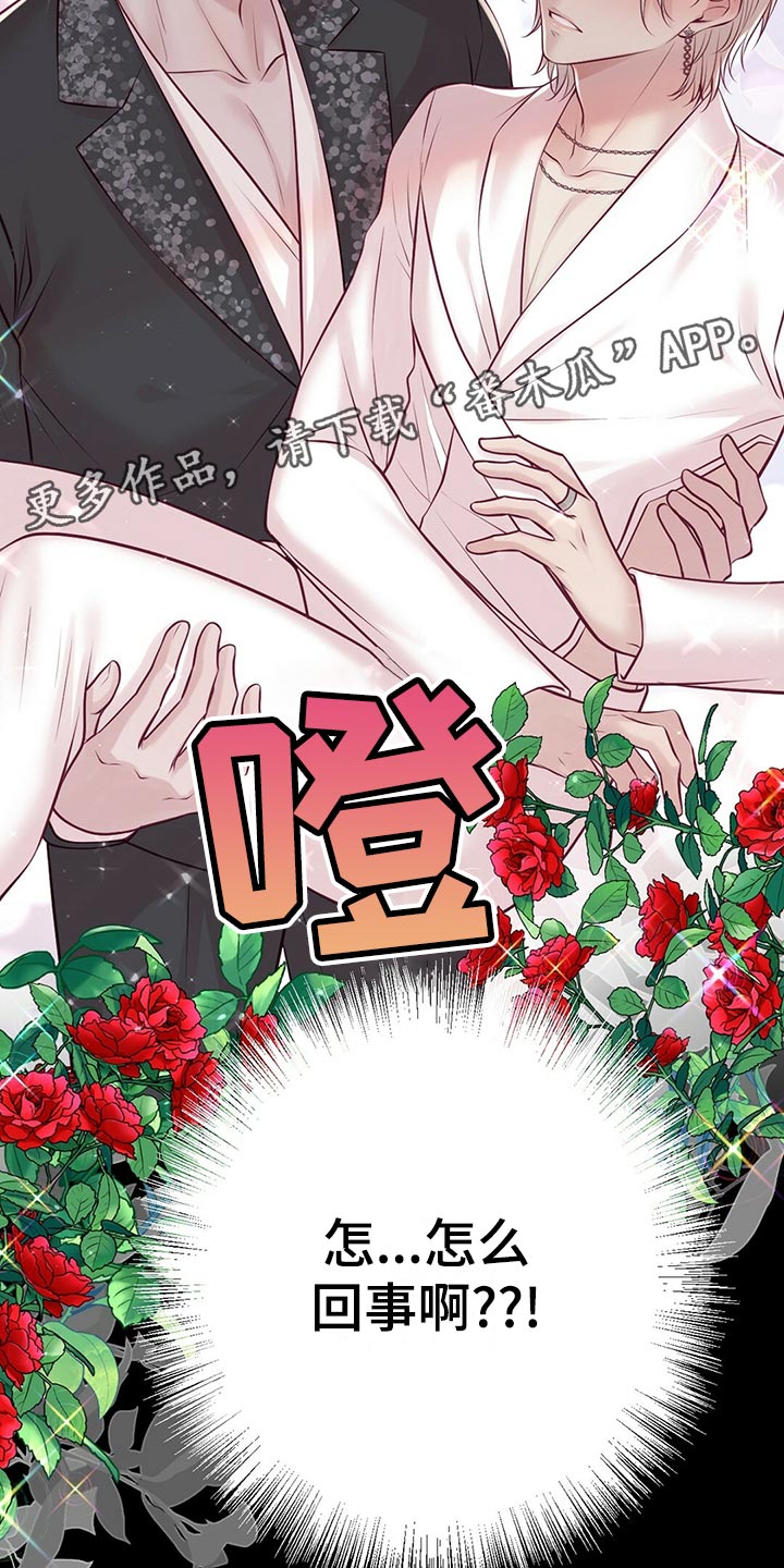 爱豆新星漫画,第35章：搭救3图