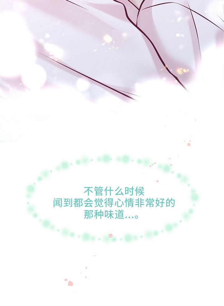 爱豆新星漫画,第47章：睡觉吧3图