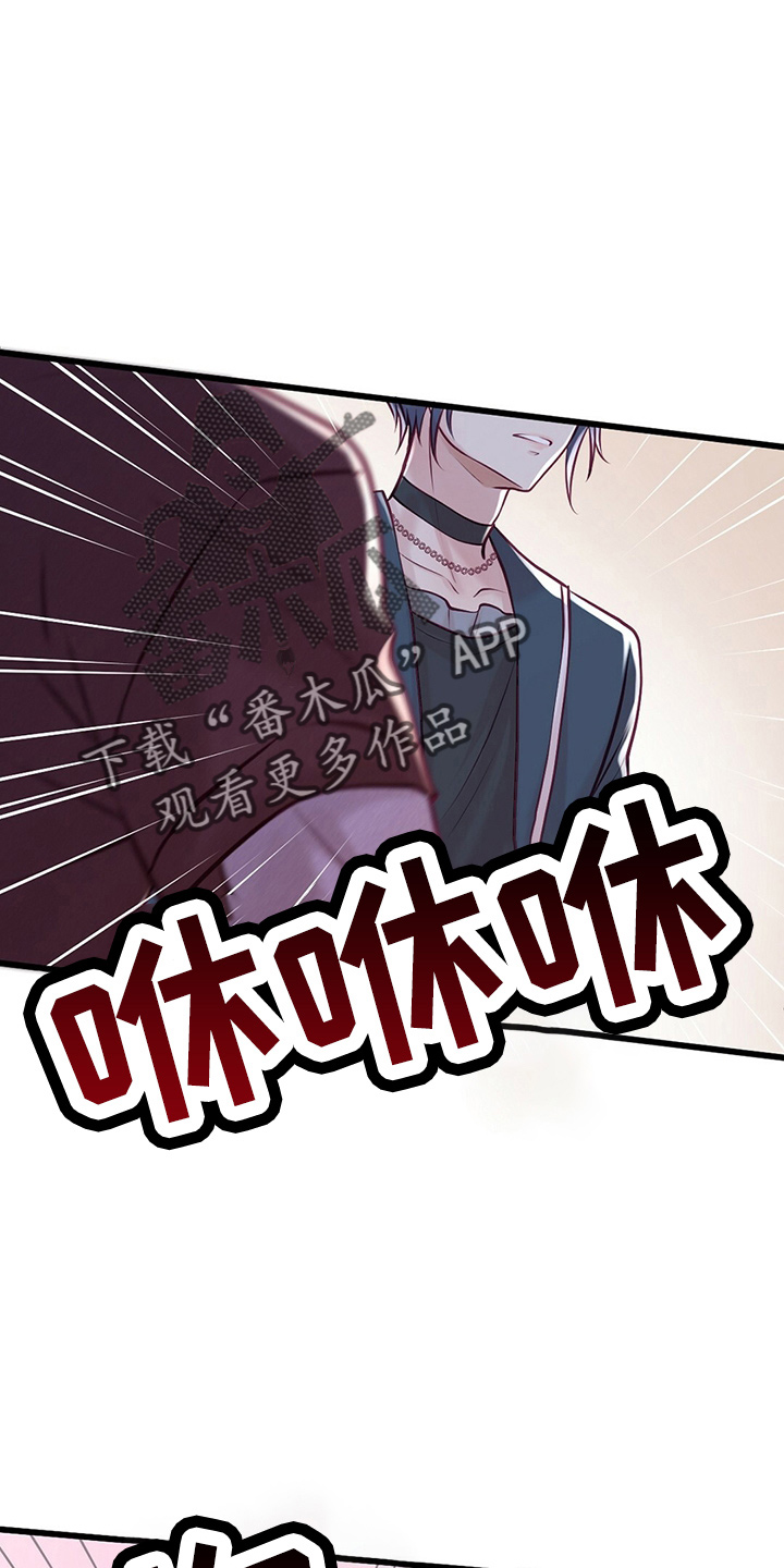 爱豆新星漫画,第45章：粉丝4图