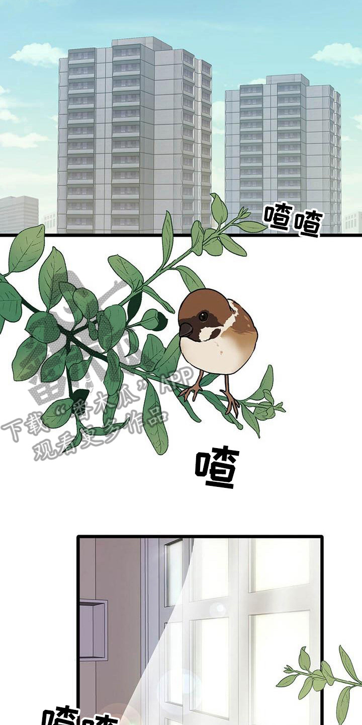 新晋爱豆什么意思漫画,第27章：迎接早晨2图