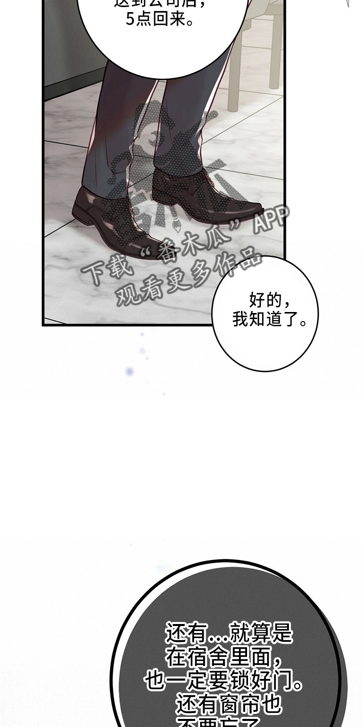 爱豆安利新星漫画,第46章：被发现2图